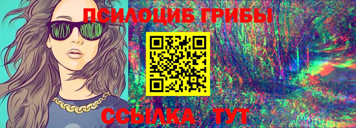 Псилоцибиновые грибы Cubensis Томск