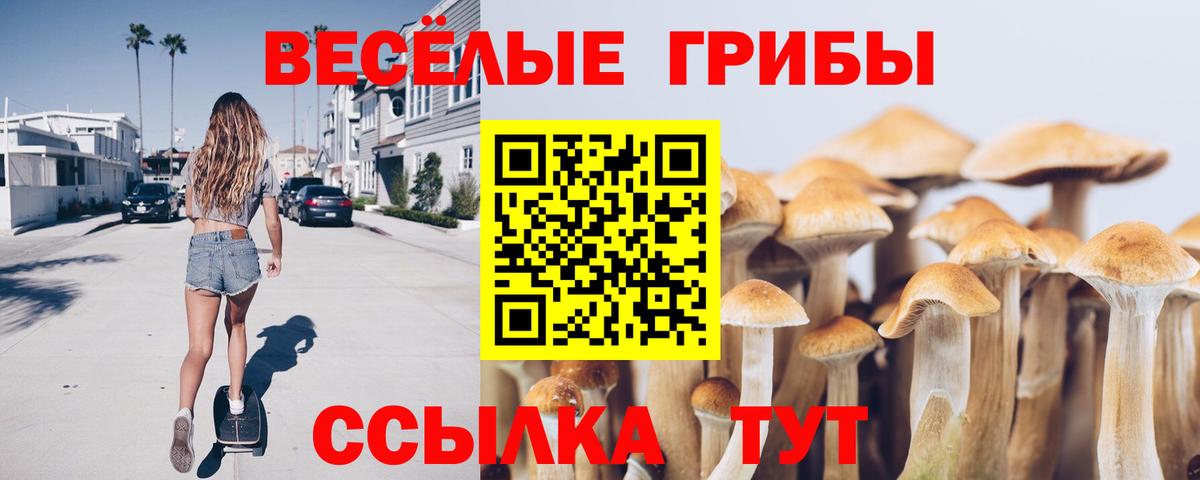Томск  где купить наркоту  Вход с VPN  Галлюциногенные грибы MAGIC MUSHROOMS 